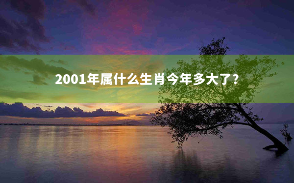 2001年属什么生肖今年多大了？