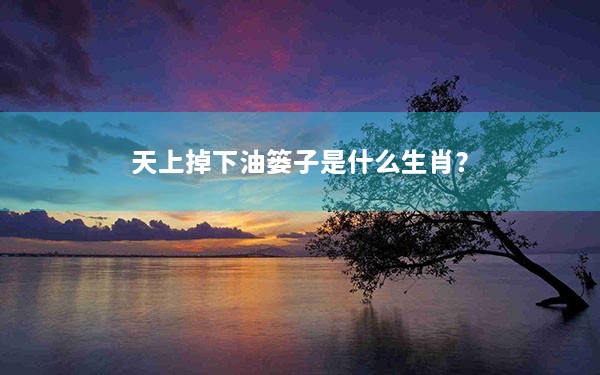 天上掉下油篓子是什么生肖？